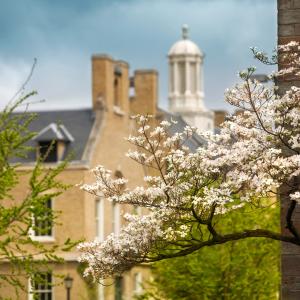 Buildings with spring foliage.